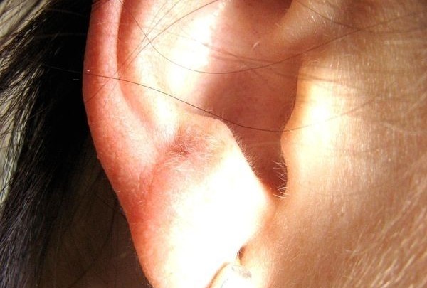 ucho, náušnice, žena, sluch
