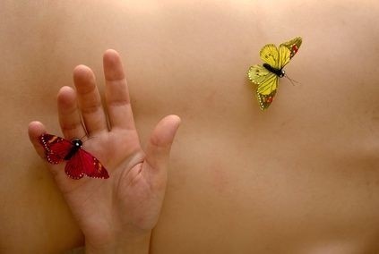 tělo, motýly
