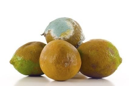 Plesnivý citrón