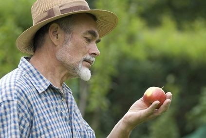 Muž s jablkem