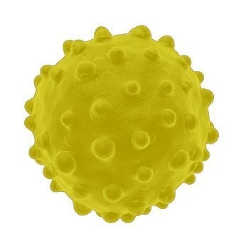 Virus hepatitidy C