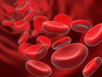 červené krvinky, buňky