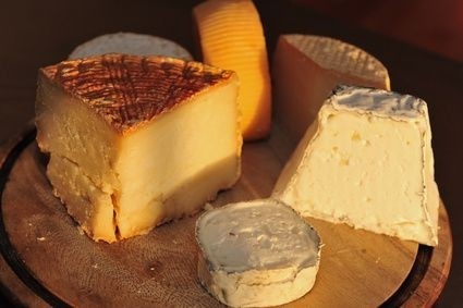 plísňový sýr, různé druhy