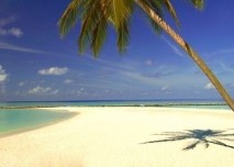 cestování, léto, dovolená, moře, pláž, koupání, písek, palma, exotika