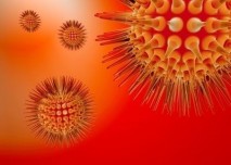 Virus
