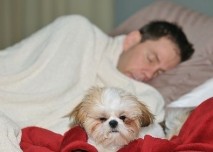 Pes, postel,spánek