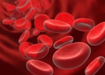 červené krvinky, buňky