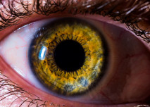 Detail lidského oka