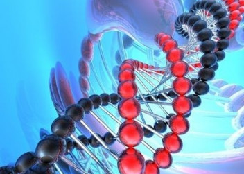 DNA,gen,dědičnost