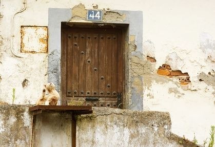 Doporučená vlhkost v bytě Doporučená vlhkost v bytě
