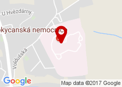 Lékárna Panacea, Rokycanská nem.a.s.